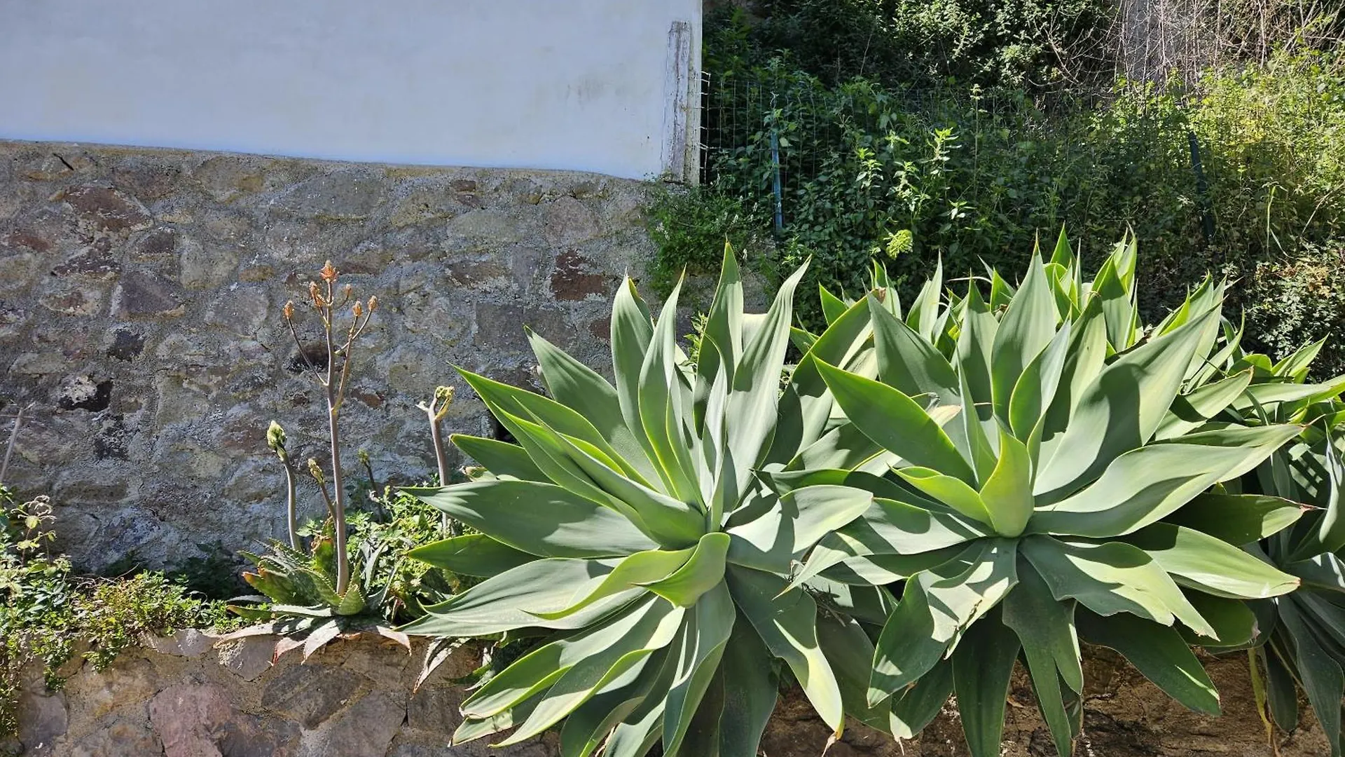 Appartement Villa Margot - Authentic Sea View Countryside Villa Lipari